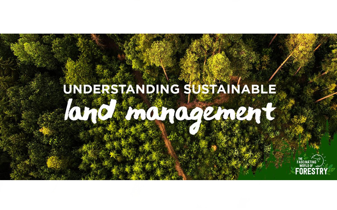 LAND MANAGEMENT &amp; DEVELOPMENT